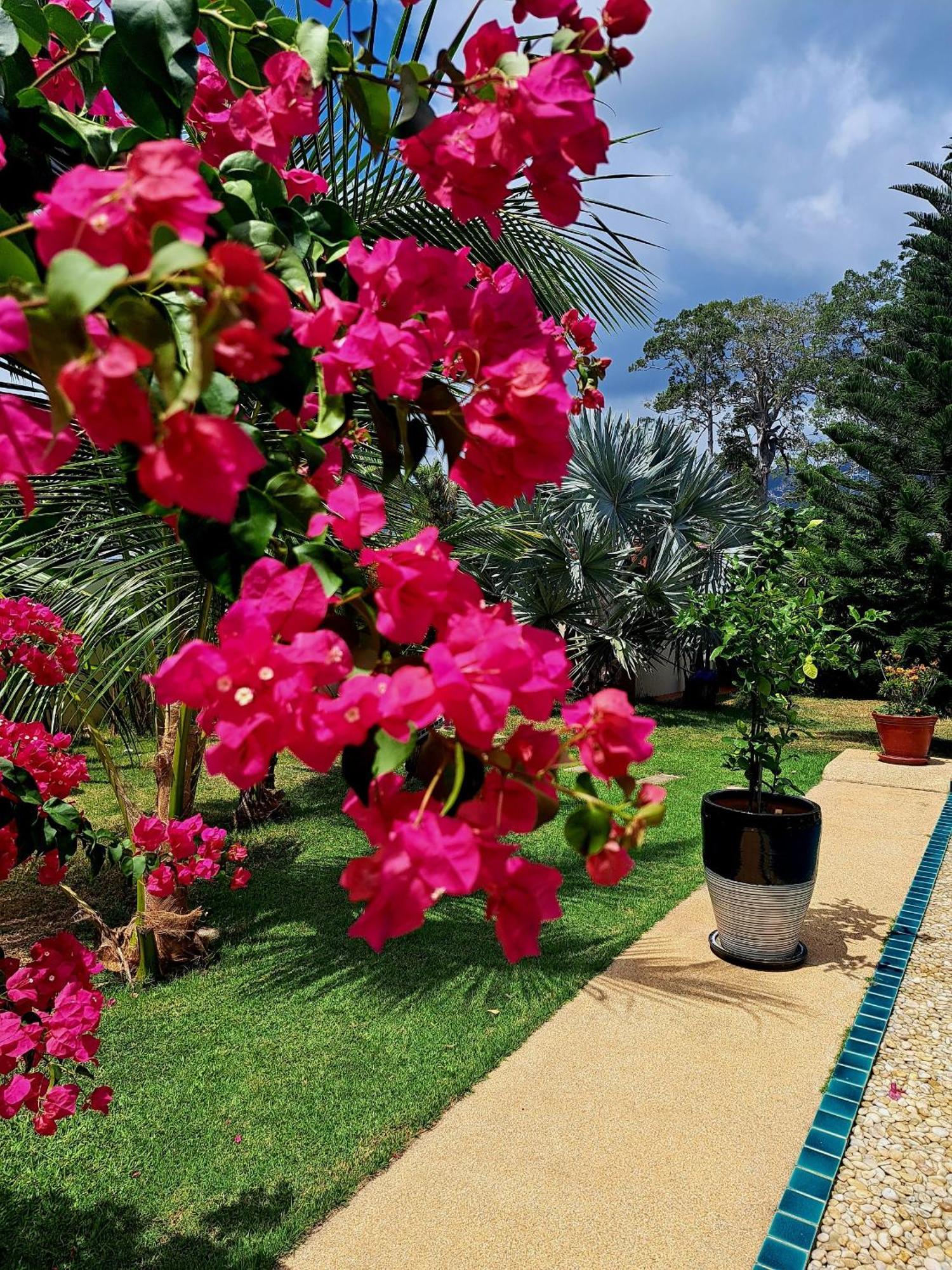 Laura Guest House-Adult Only- Hua Thanon  ภายนอก รูปภาพ