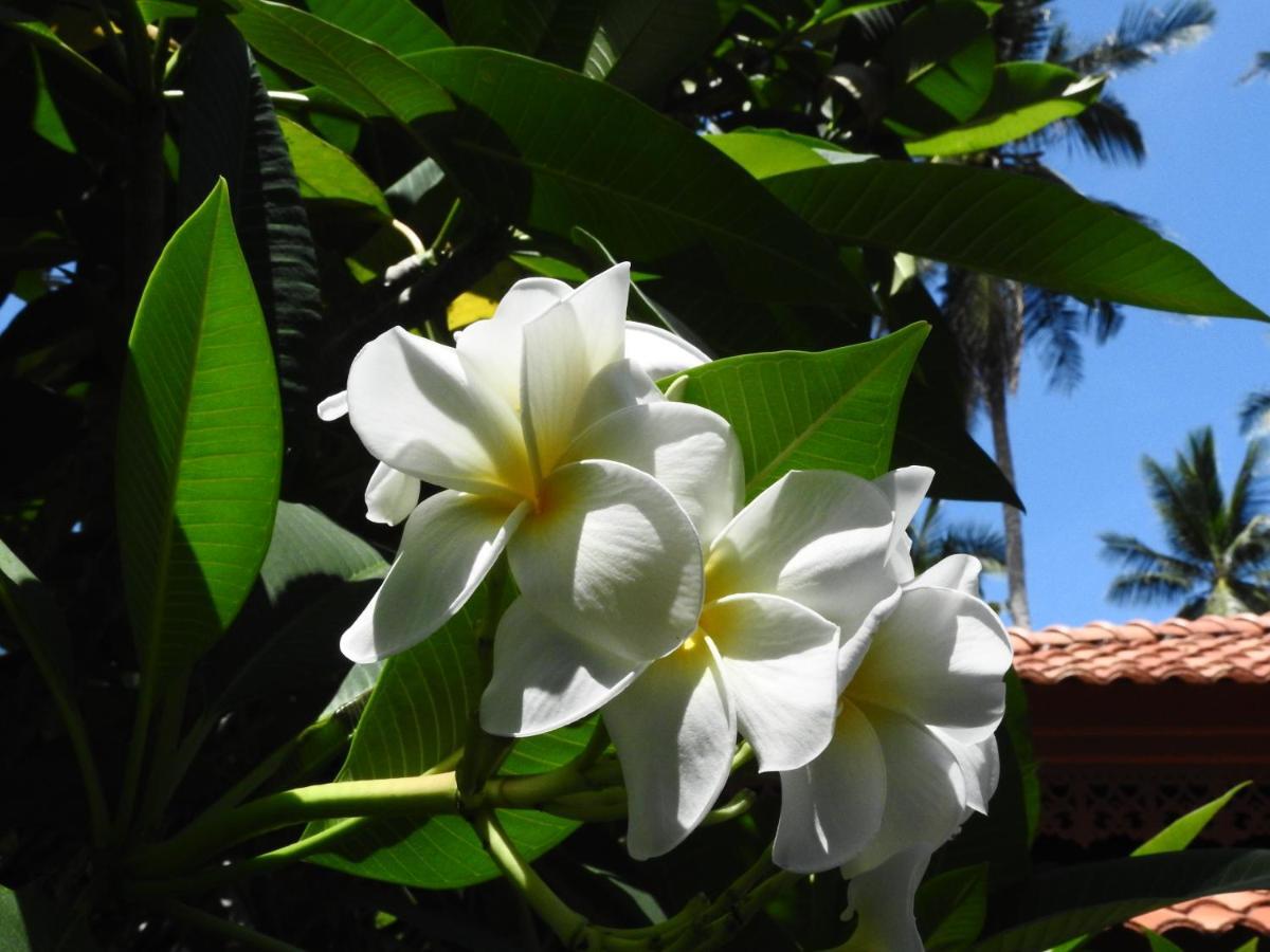 Laura Guest House-Adult Only- Hua Thanon  ภายนอก รูปภาพ